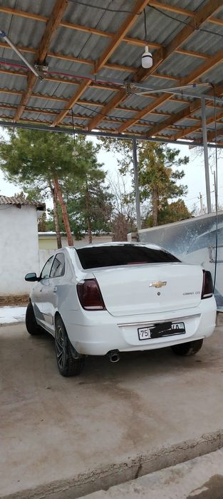 Коблт йили 2020 босган масофаси 72 минг