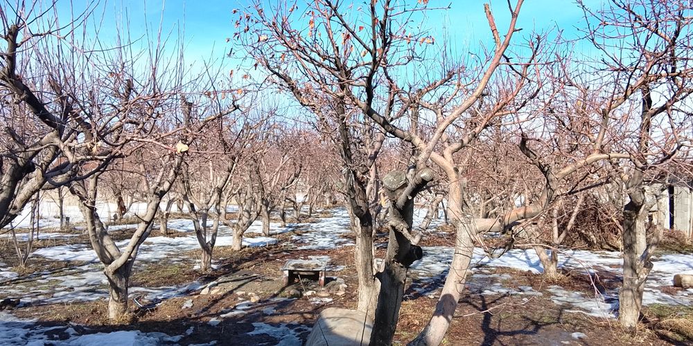 Сдам дом на долгосрочную аренду
