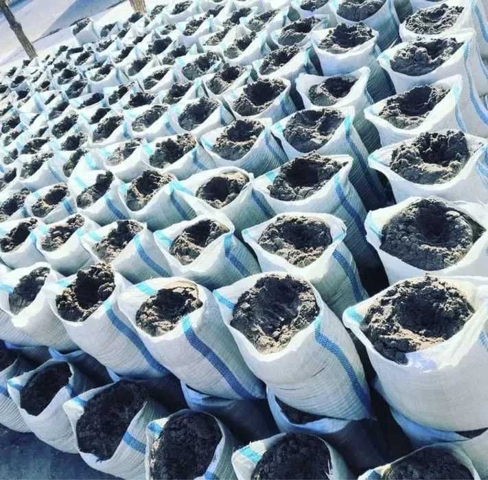 klines qum sheben