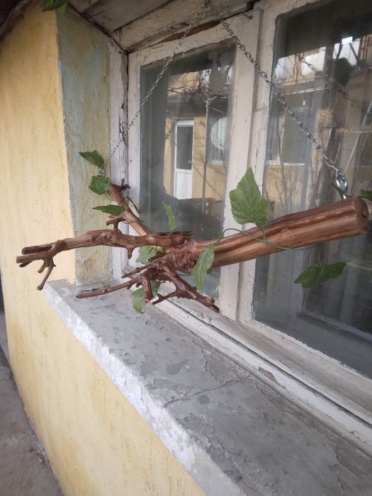 Изработка на лампи, полилеи от лозови пръчки