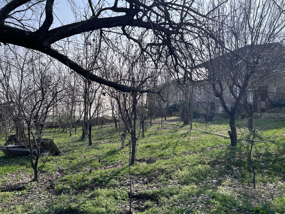 Дачный участок (с домом)