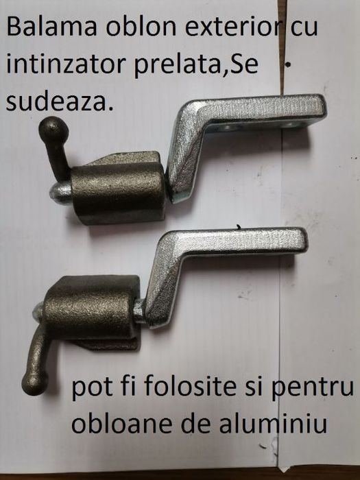 Balamale bascula.  CA 048