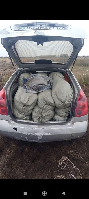 Перегной перегной