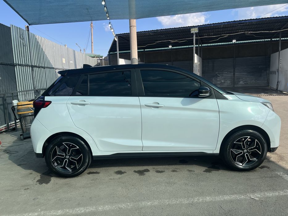 Young Guang XiaXin L400