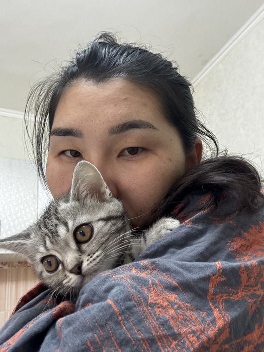 Кошка 3 месяца