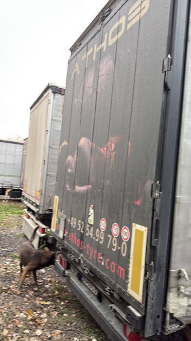 Semiremorcă Kogel , mega , tavan liftabil coil mulde