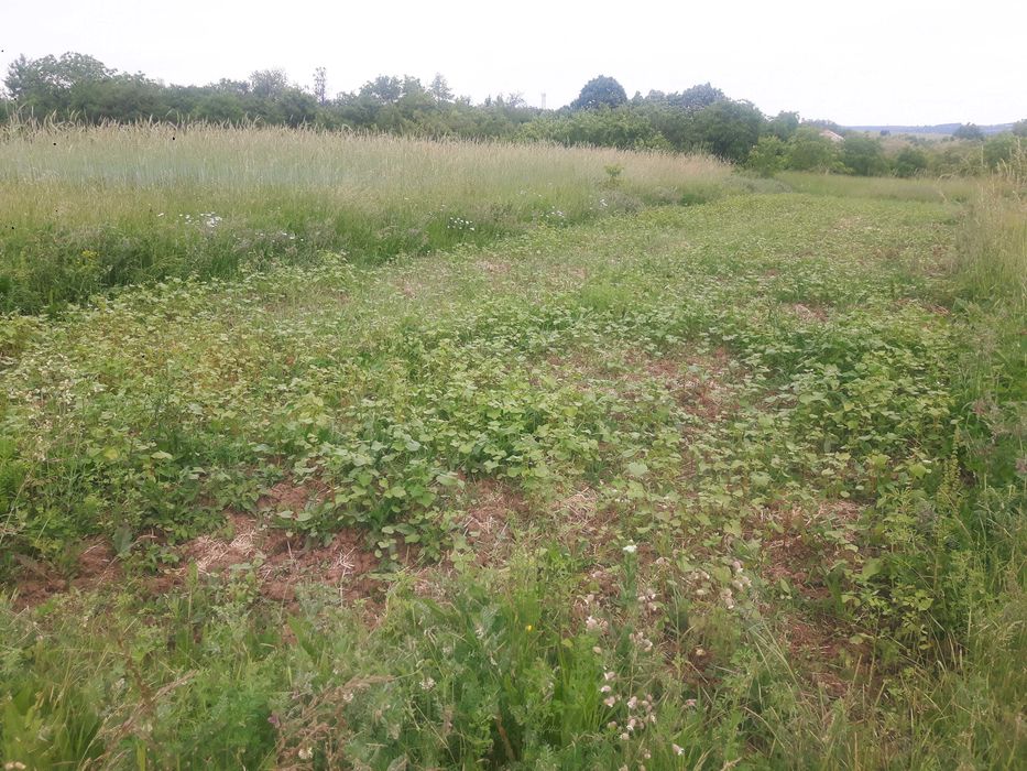 Голям парцел в 7855 Бракница