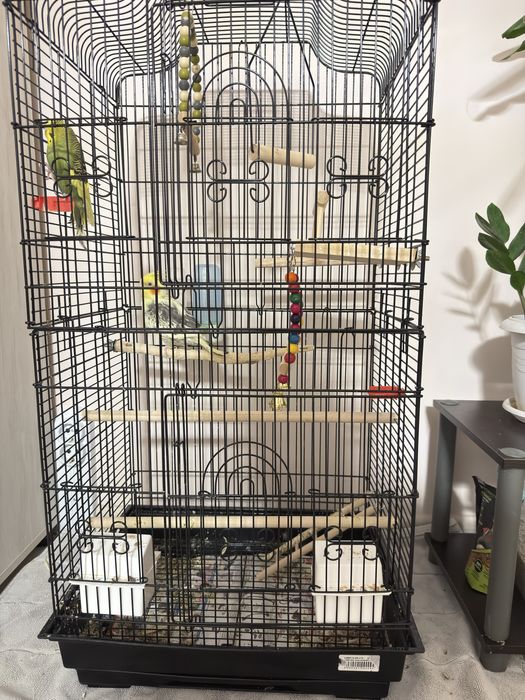 Социални птици - продажбата е с условие