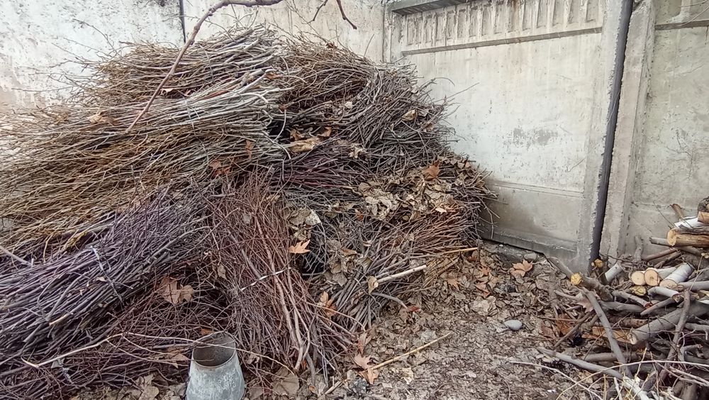 Утин сотилади. Мевали дарахтники.