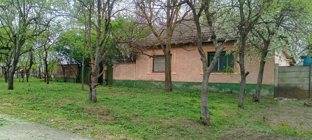 Vand casa in Peregul Mic  jud Arad preț 24700 euro neg