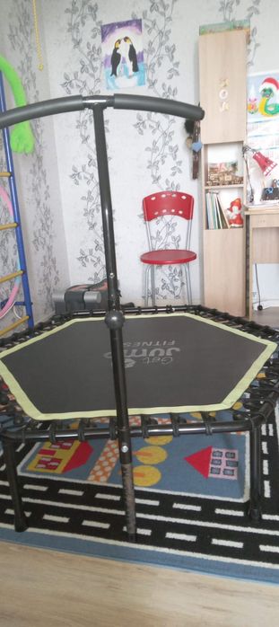 Фитнес батут профессиональный