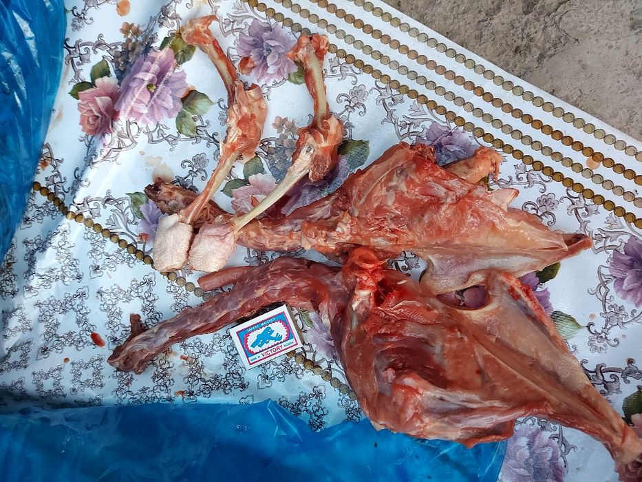 Куриные крылышки и кости