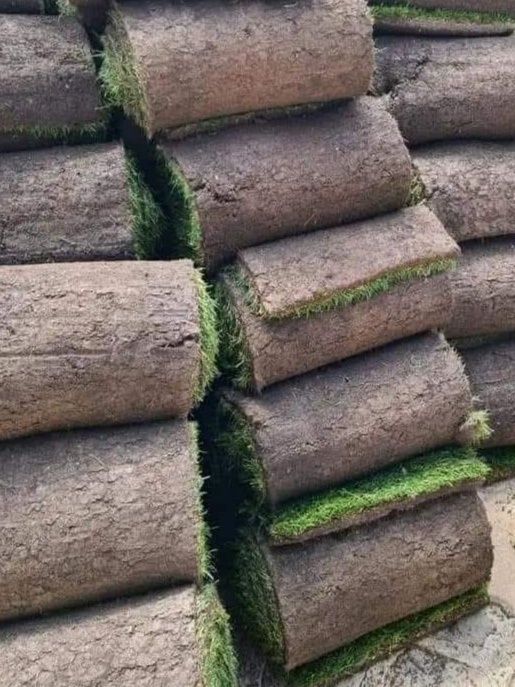 Gazon rulou și sistem de irigatii