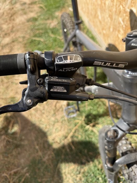 mtb Bulls  Bulls
