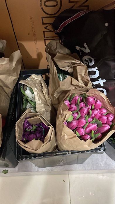 Голандские Тюльпаны 50см