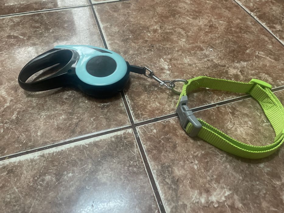 Lesa si zgarda pentru caini