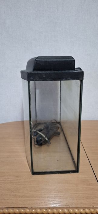 Продам аквариум 25 литров