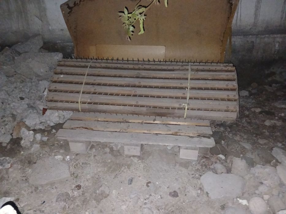 Tropilnida ishlaydi diyishdi