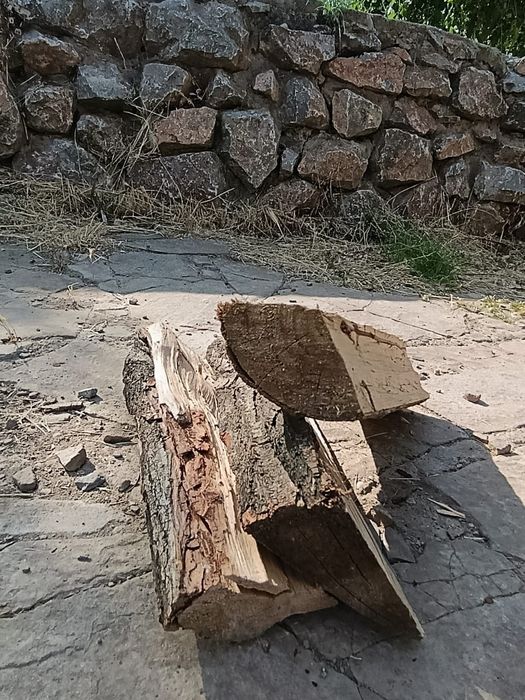 Дрова рубленные  . Дайын отын  .