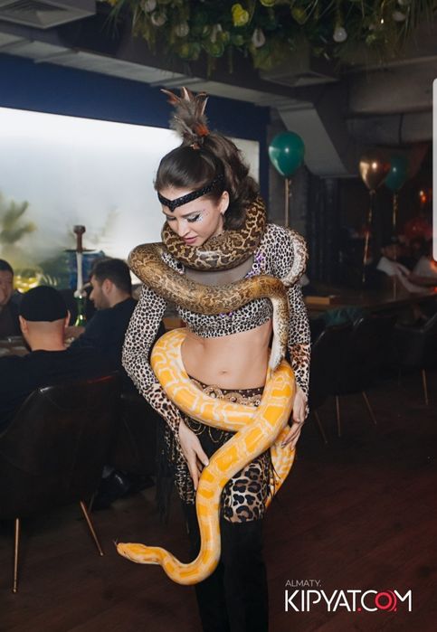 Шоу программа. Детские аниматоры.  Танцы