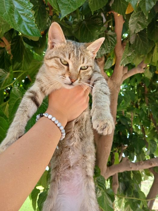 Kimga kerak boʻlsa yozinglar