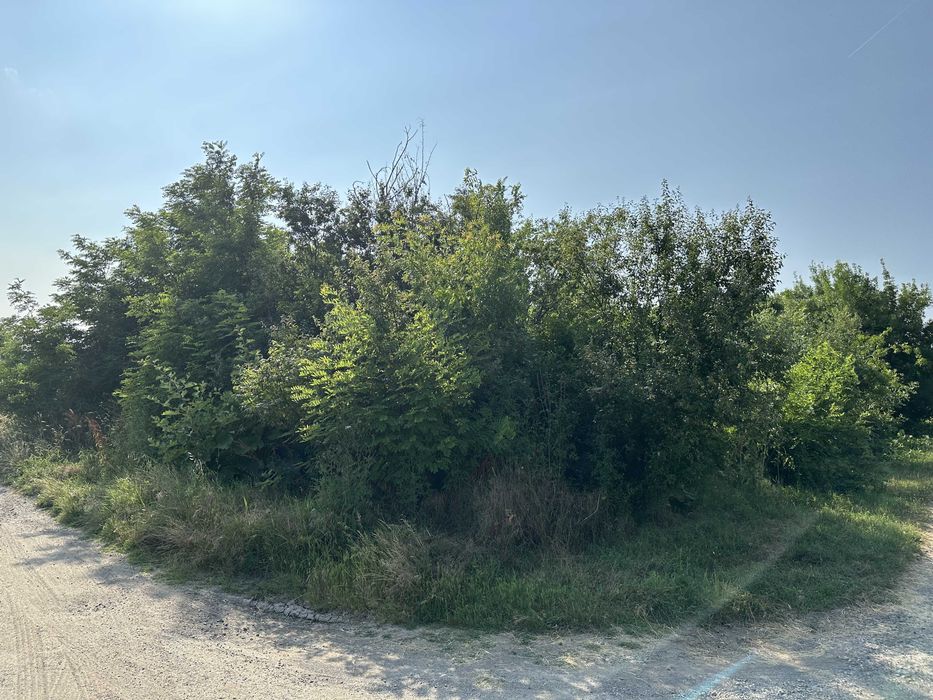 Продава се Къща в с. Даскал-Атанасово, Област Стара Загора - 174 кв.м за 146 €/кв.м - Снимка #4