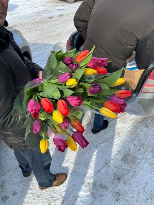 Тюльпаны к 8 марта