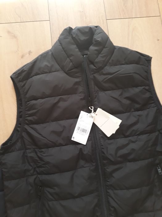 Vesta barbati L Mango