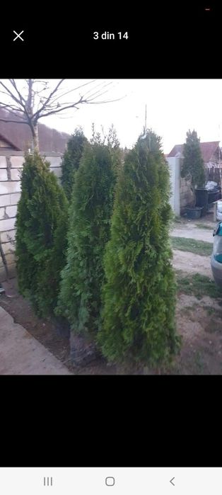 Piatra pentru pavaj de vanzare montaj inclus in toata tara