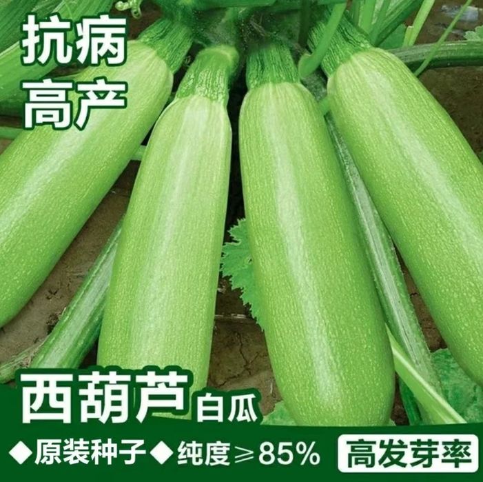 Urug‘ sotiladi. Xitoydan birinchi qo‘l