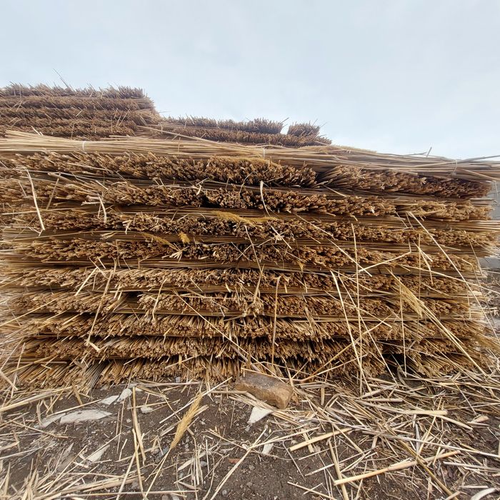 Қамыс Камышы Маты