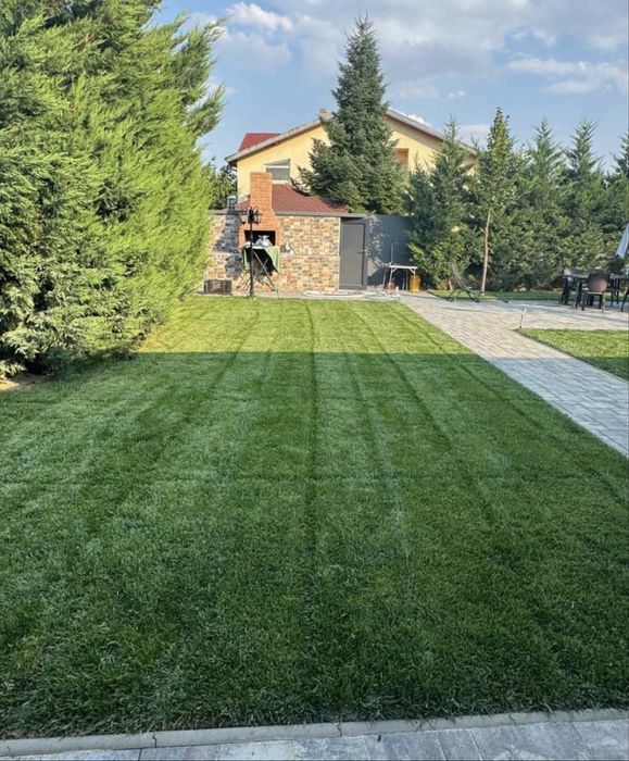 Gazon rulou sport calitatea 1