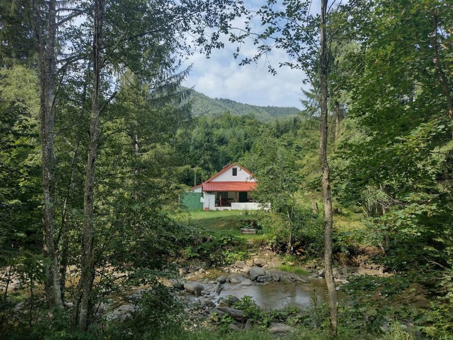 Casa / cabana zona Lepsa