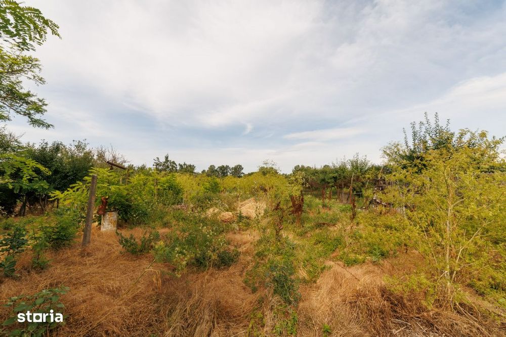 Casa+teren 2.140 mp de vanzare – Ciesti, Lunca Corbului– la doar 3