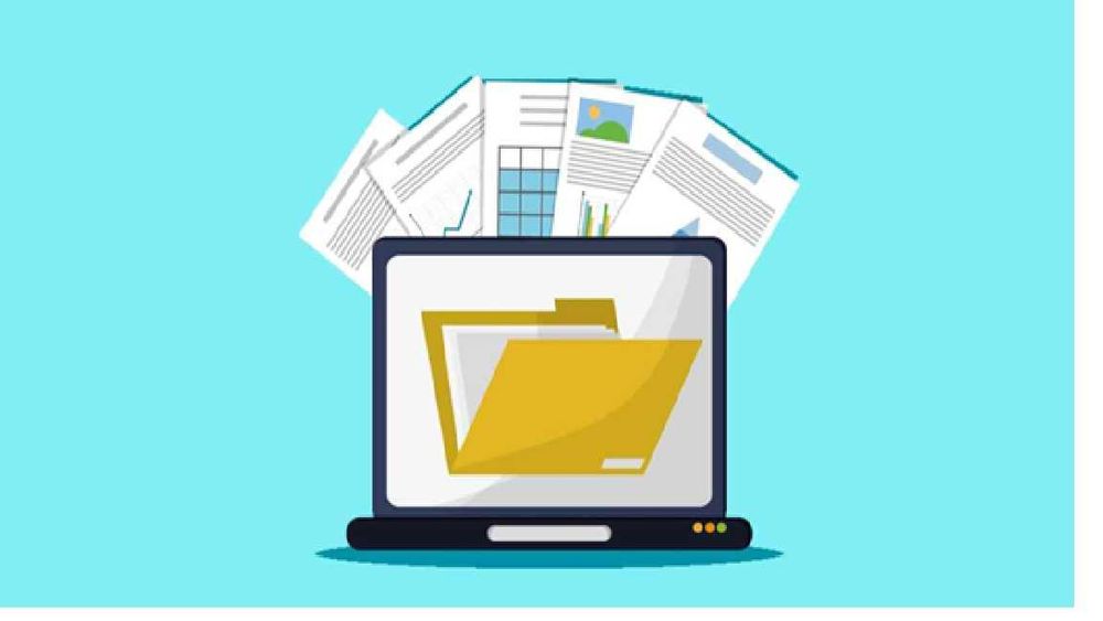 DIPLOMAT BUSINESS  -Servicii de contabilitate complete - IMM și PFA