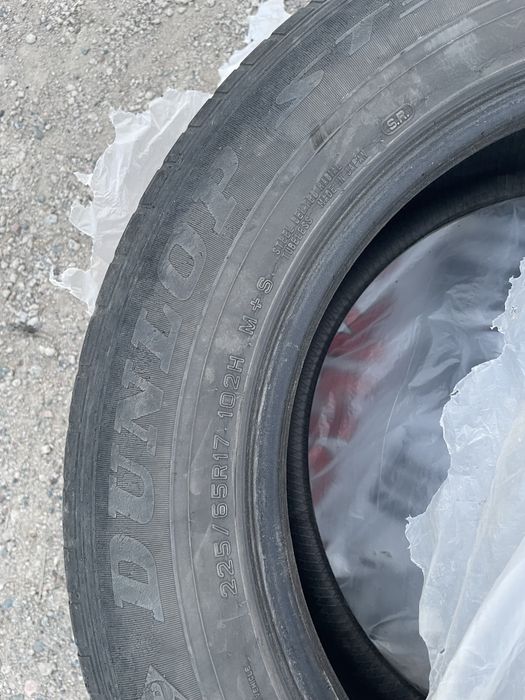 Донгелек шины продам