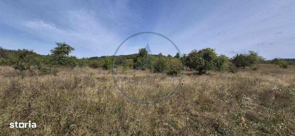 Teren extravilan , 10081 mp in apropiere de padurea Schullerwald