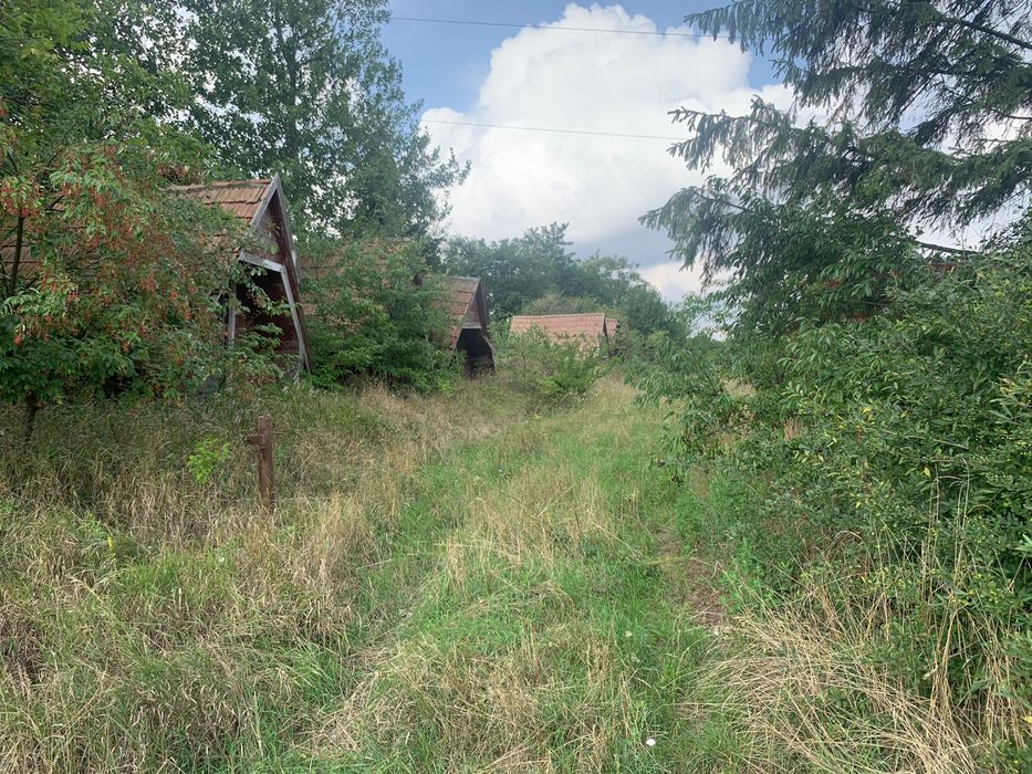 Teren de vanzare la ratos