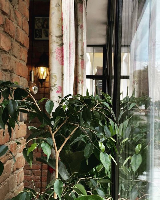 Продам действующий бизнес