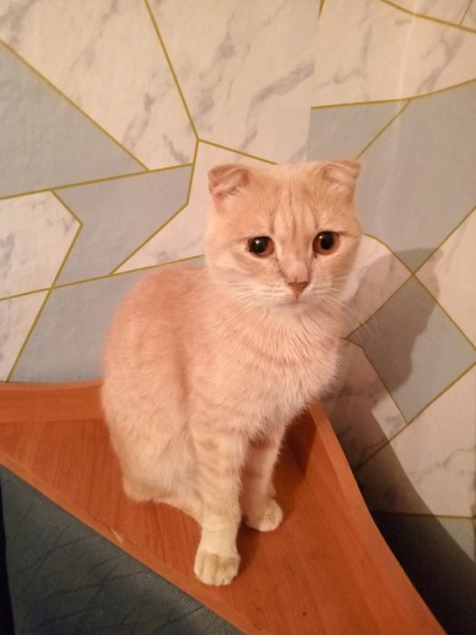 Одам добрые руки