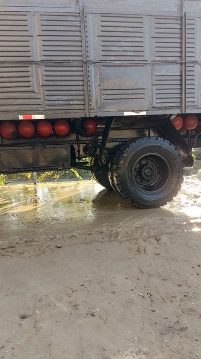 Zel bartovoy  gurzavoy 1980 yil xolati alo darajada