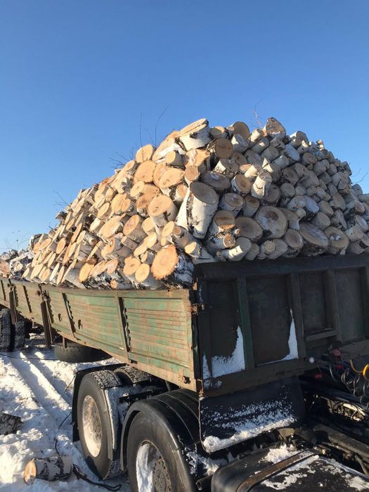 Дрова береза колотые