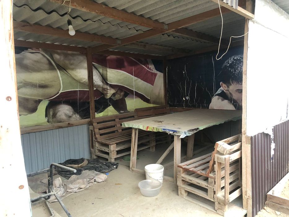 Дача с теплицой в отличном состоянии