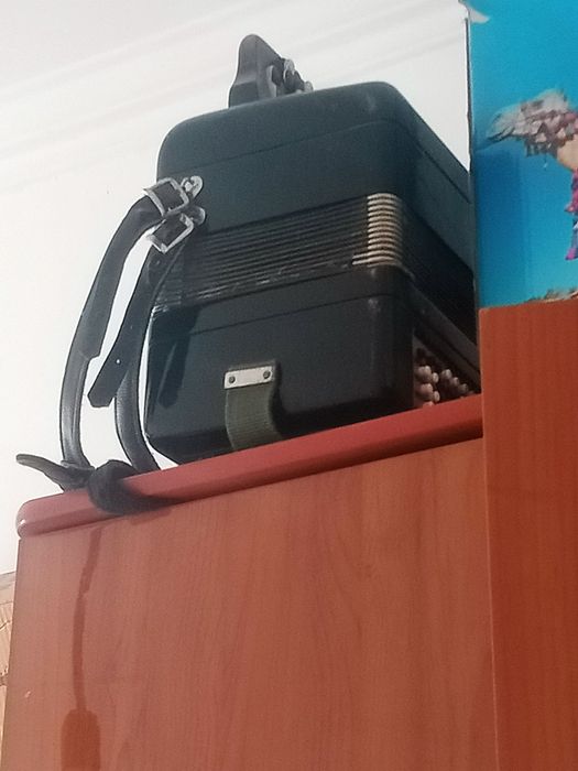 Баян сатылады бәрі жасайд