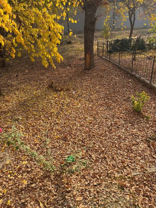 Продам квартиру Чиланзар 24 квартал, 3х комнатная, 1 этаж