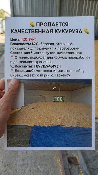 Кукуруза для кормов