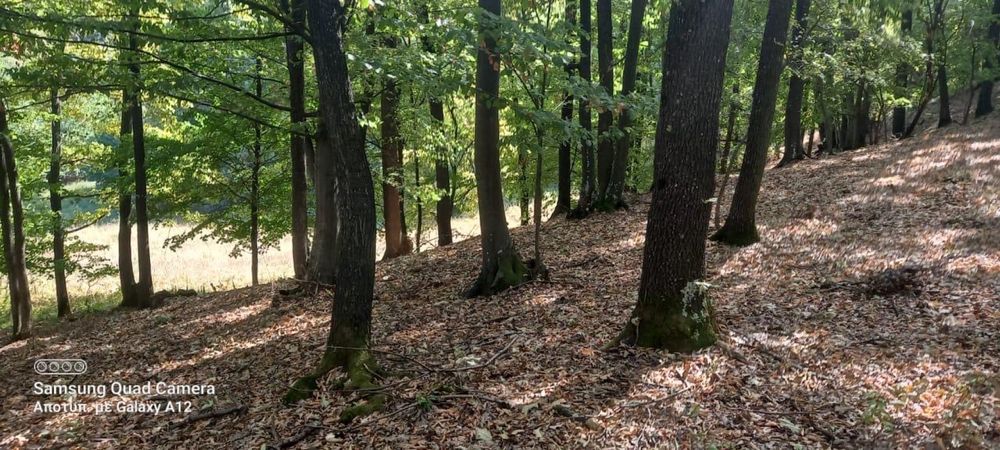 Vând teren  Podenii Noi, Magura