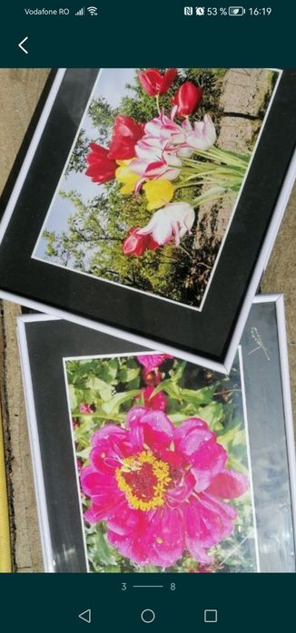 Tablou A3, cu rama și geam de sticla, poze flori sau peisaje, semnat