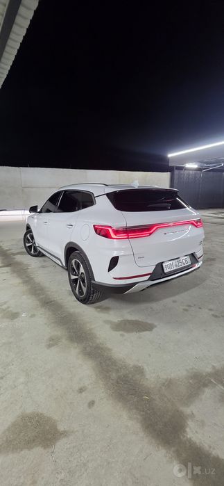 Song pilus GIBRIT BYD  2023 yil olingan 100% radnoy