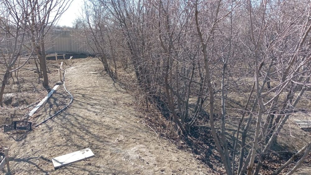 Саяжай Дача Зимний вариант